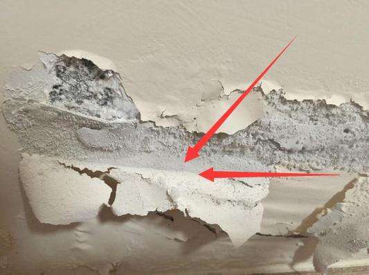 1606617508318926.jpg 墻面.jpg