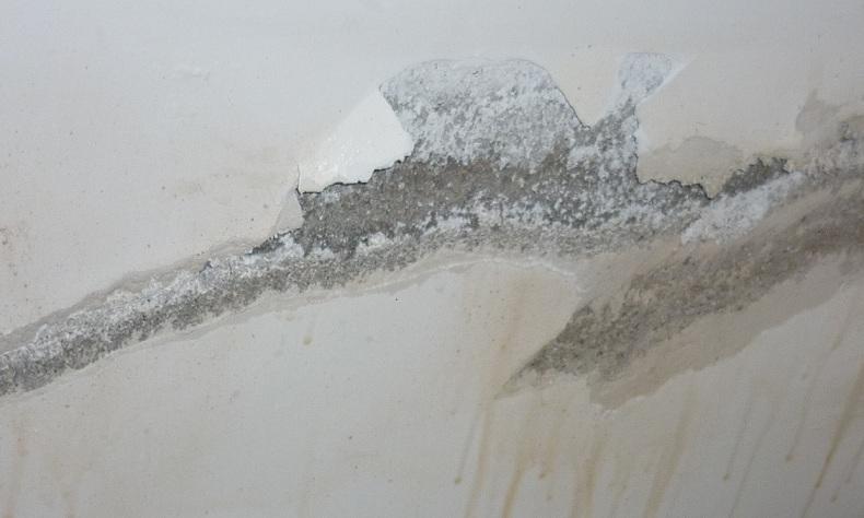 1606617523866159.jpg 墻面2.jpg