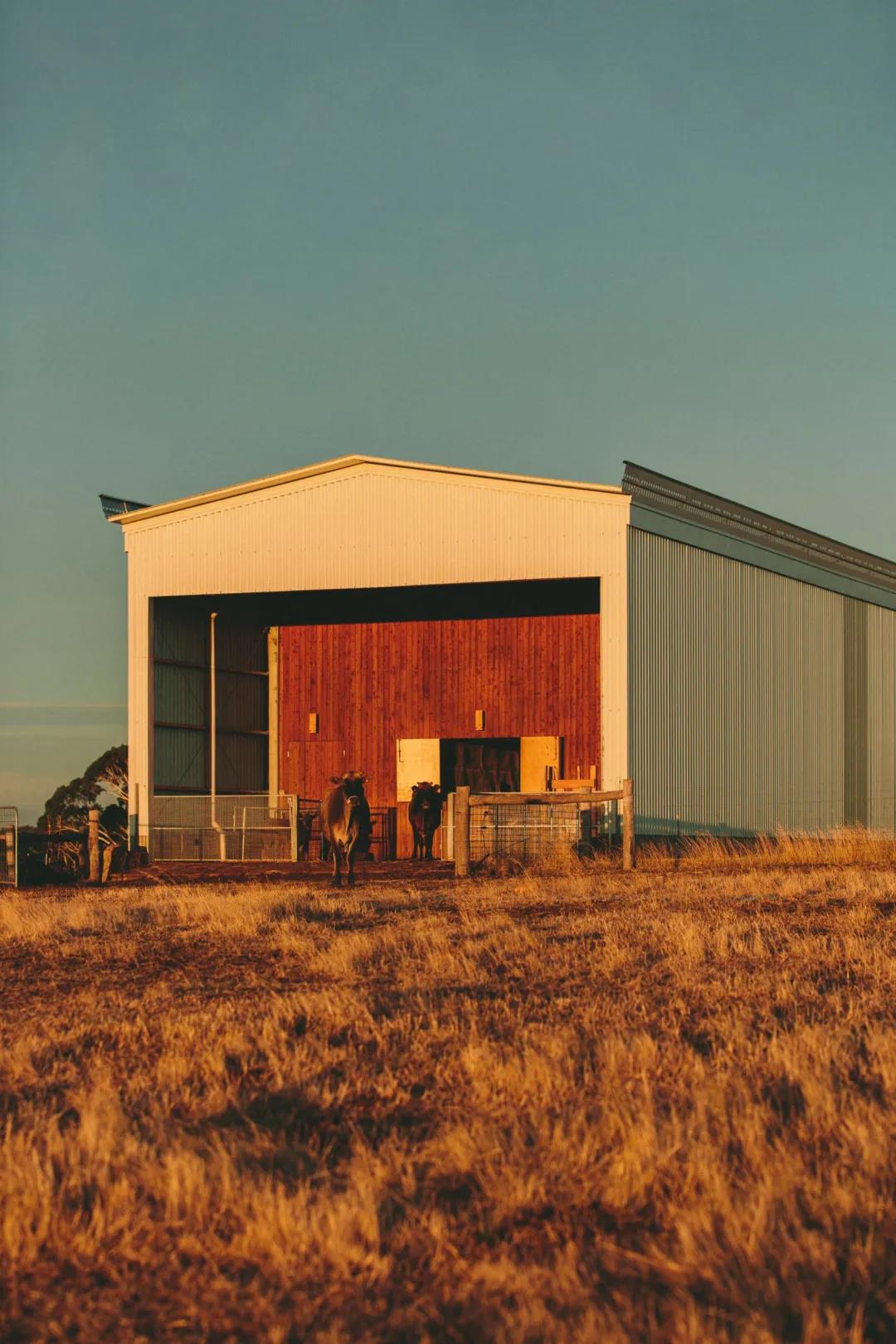 1619488617757121.jpg 微信圖片_20210427094819.jpg